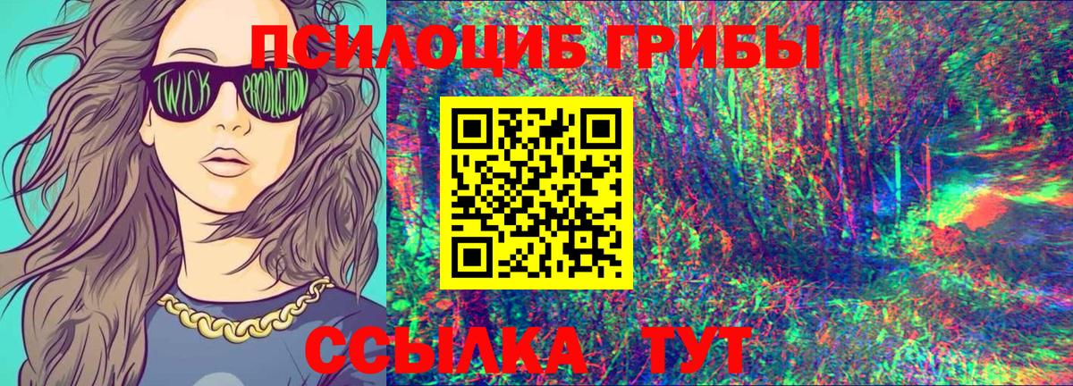 Псилоцибиновые грибы Psilocybe  Амурск  что такое   Псилоцибиновые грибы GOLDEN TEACHER 