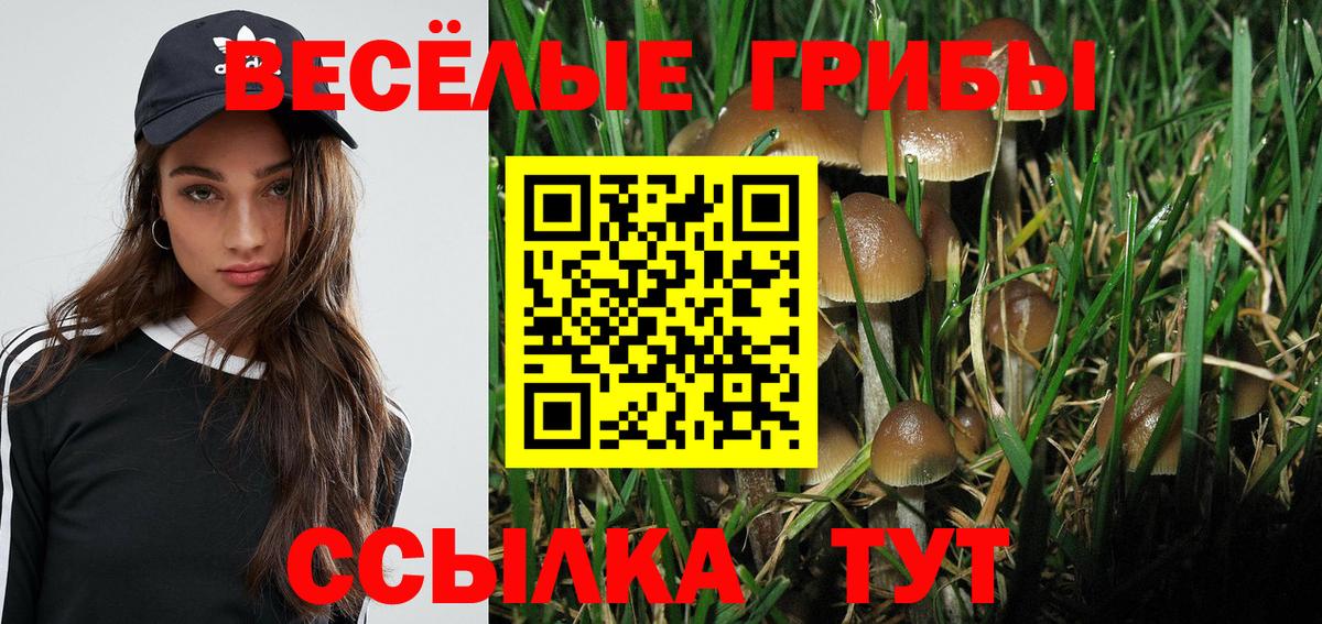 Галлюциногенные грибы Psilocybine cubensis Амурск